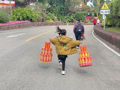 -广州莲花山旅游区