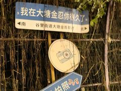 -大塘金香草谷