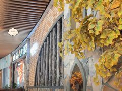 -晓疆山·大美新疆菜(白玉兰广场店)