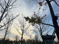 -西安汉城湖景区