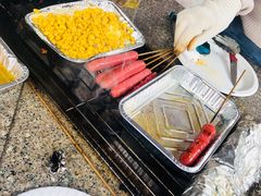 -吴淞炮台湾湿地森林公园烧烤区