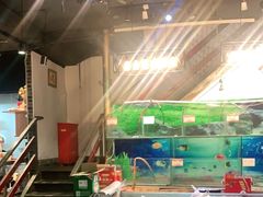 -七裕庄(凯旋南路店)