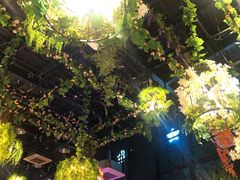 -聚缘·湘味音乐餐厅party(罗湖店)