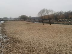 -苏州太湖湖滨国家湿地公园