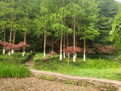 -重庆彩云湖湿地公园