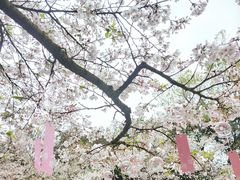 -杭州少年儿童公园