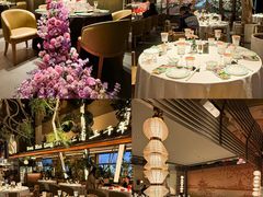 -桂满陇·海市蜃楼·黑金(国金店)