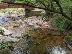 -青峰峡国家森林公园