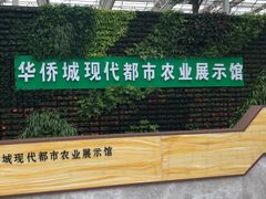-黄龙溪欢乐田园