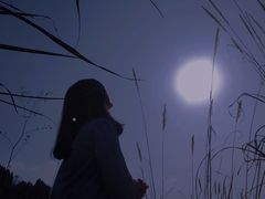 -白鹭湾湿地公园