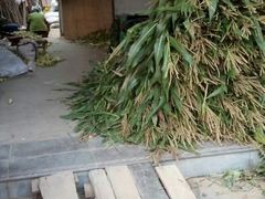 android_upload_pic-终南山南五台景区