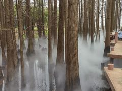 -东湖落雁景区