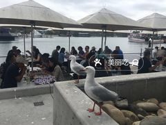 -悉尼海港大桥