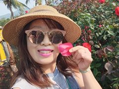 -亚龙湾国际玫瑰谷