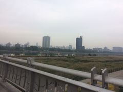 -向阳羊汤(千峰店)