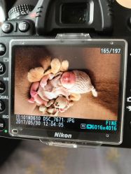 -童年儿童摄影(大连店)