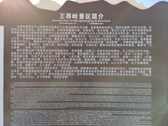 -王莽岭风景区
