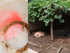 -百里峡七彩艺术小镇