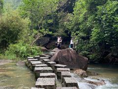 -广州白江湖森林公园