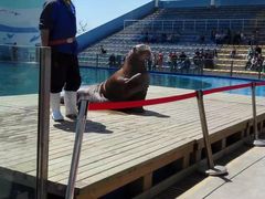 -北戴河圣蓝海洋公园