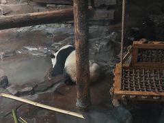 -济南野生动物世界