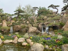 -罗红摄影艺术馆