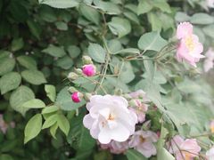 -亮佳鸿华二手市场