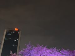 -西北湖绿化广场