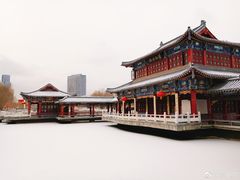 -雁滩公园