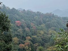 -青城山