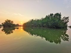 -大湾区中央湿地公园-十九涌