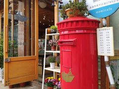 -猫的天空之城概念书店(丽江古城饮玉巷店)