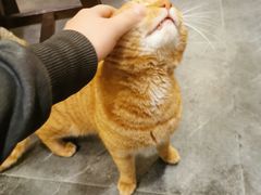 -聚汇三少·龙虾·中餐厅(莫邪路新天地店)