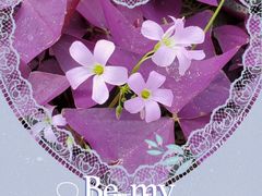 -华南国家植物园-售票处