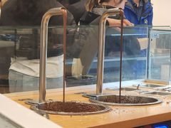 -Patagonia Chocolates(皇后镇店)