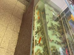 -令狐冲烤鱼·烧菜馆(达明店)