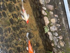 -前童古镇