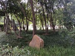-紫金山天文台