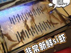 -蒙肥羊·酸汤潮牛·鲜牛肉火锅烤肉自助(岗顶店)