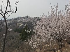-白水寺森林公园