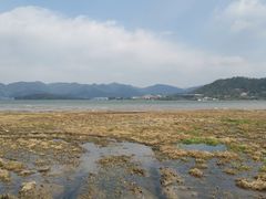 -四明湖