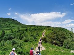 -阳台山自然风景区