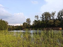 -溱湖国家湿地公园