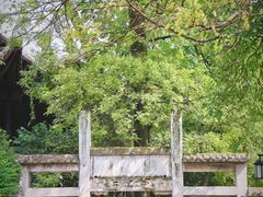 -阳明祠