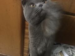 -瑞派宠物医院·24小时骨科·心脏·核磁(哈尔滨南岗店)