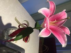 iphone_upload_pic-海底捞火锅(九久奥特莱斯店)