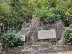 -东莞市大岭山森林公园