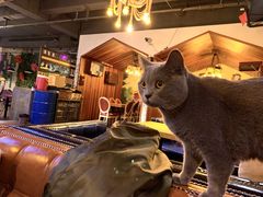 景观位-莫比餐厅(五道口店)