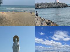 -亚龙湾热带天堂森林公园