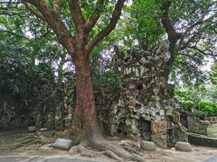 -绍兴鲁迅故里·沈园景区